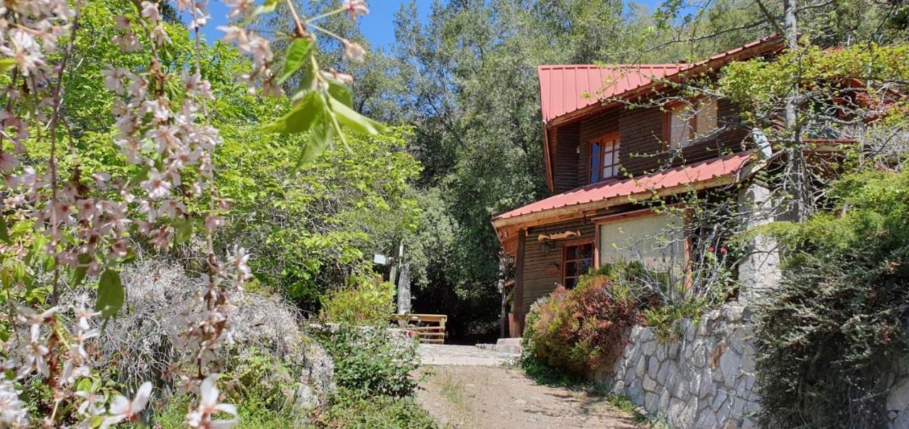 Casa De Montana Inmersa En Bosque Nativo San José de Maipo Εξωτερικό φωτογραφία